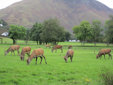Scotland-Scottish Islands-Island Hopping in Scotland